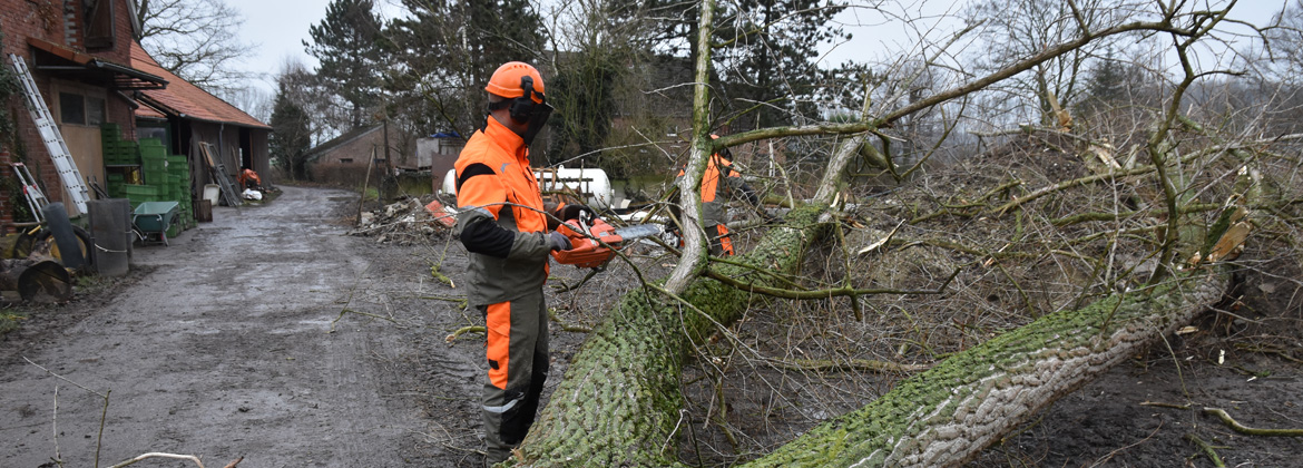 Mitmachaktion Holzwoche – Hilfeaufruf