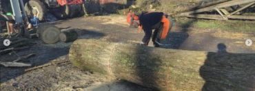 Mitmachaktion Holzwoche erfolgreich beendet