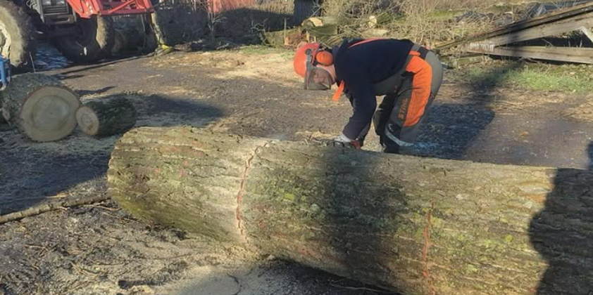 Mitmachaktion Holzwoche erfolgreich beendet