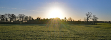 Juhuuu – der Frühling schaut vorbei