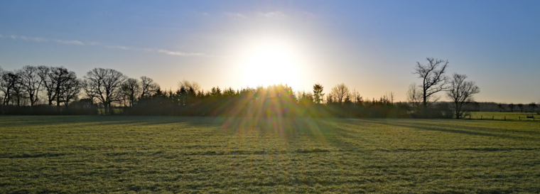 Juhuuu – der Frühling schaut vorbei
