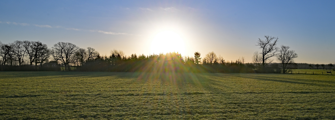 Juhuuu – der Frühling schaut vorbei