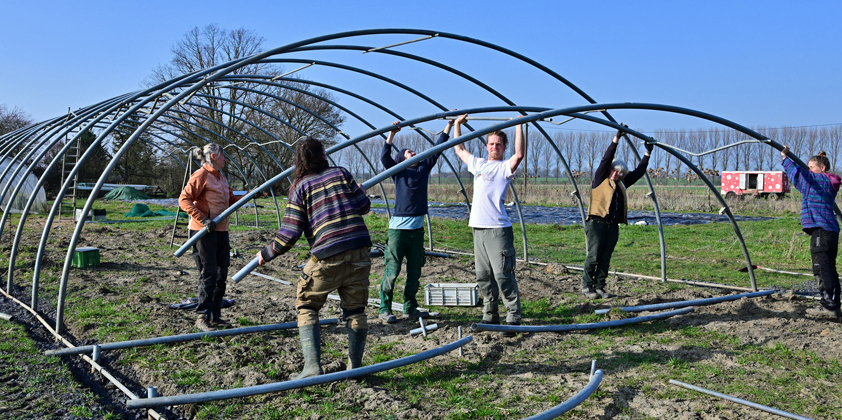 Folientunnel wird aufgebaut