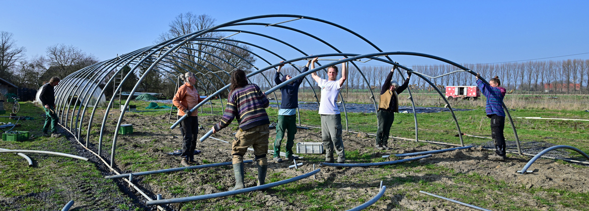 Folientunnel wird aufgebaut