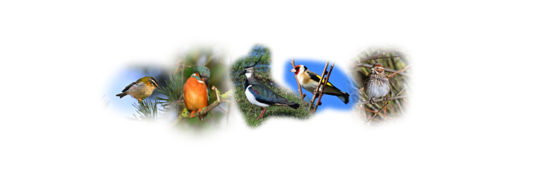 Vogelartenreichtum auf dem Laakenhof