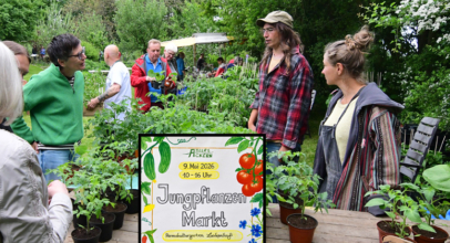 Jungpflanzenmarkt im Permakultur Garten