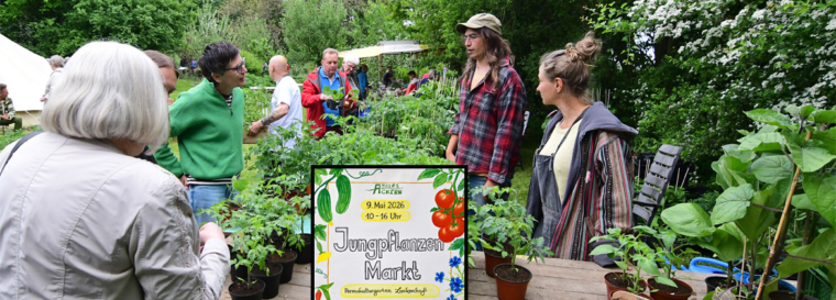 Jungpflanzenmarkt im Permakultur Garten