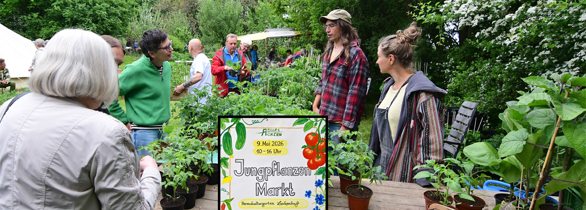 Jungpflanzenmarkt im Permakultur Garten