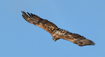 Schöne Grüße aus der Oberlausitz