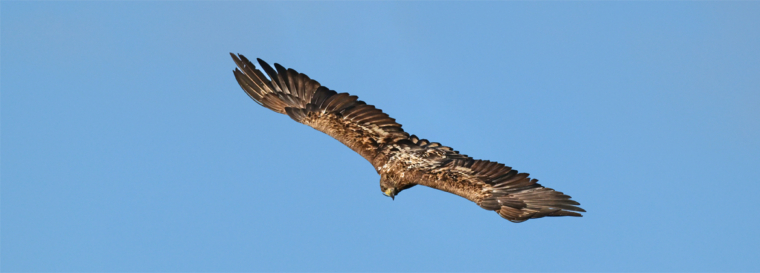 Schöne Grüße aus der Oberlausitz