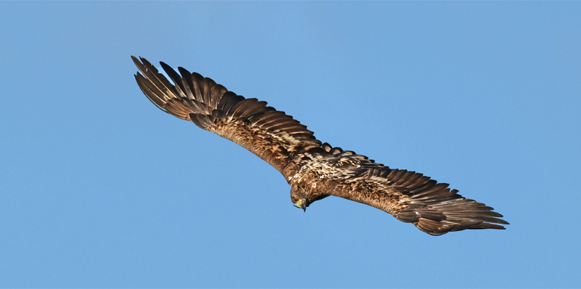 Schöne Grüße aus der Oberlausitz