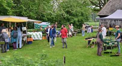 Jungpflanzenmarkt – ein toller Event