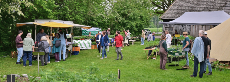 Jungpflanzenmarkt – ein toller Event