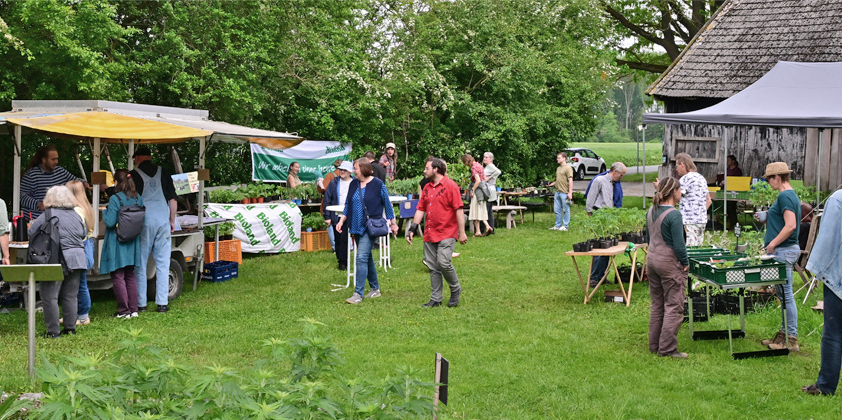 Jungpflanzenmarkt – ein toller Event