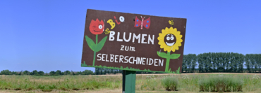 Es gibt wieder Blumen zum Selberpflücken