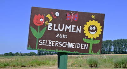 Es gibt wieder Blumen zum Selberpflücken