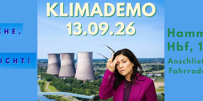 Klima Demo in Hamm fordert Lösungen
